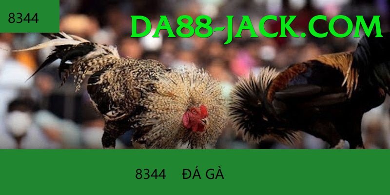 Cách Đọc Kèo Đá Gà - App